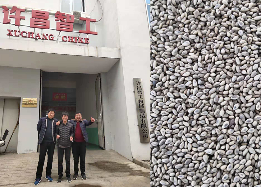 許昌智工芝麻炒貨機(jī)