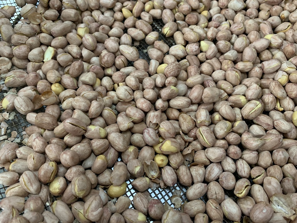 許昌智工炒貨機(jī)