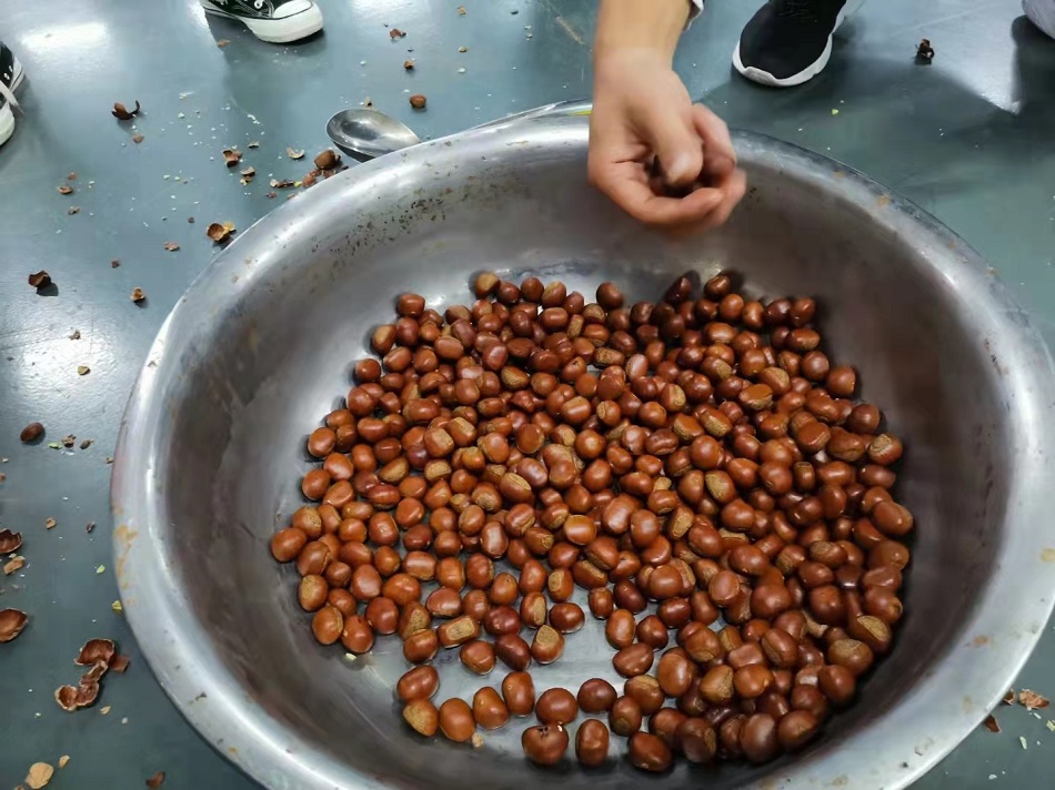 許昌智工炒貨機(jī)