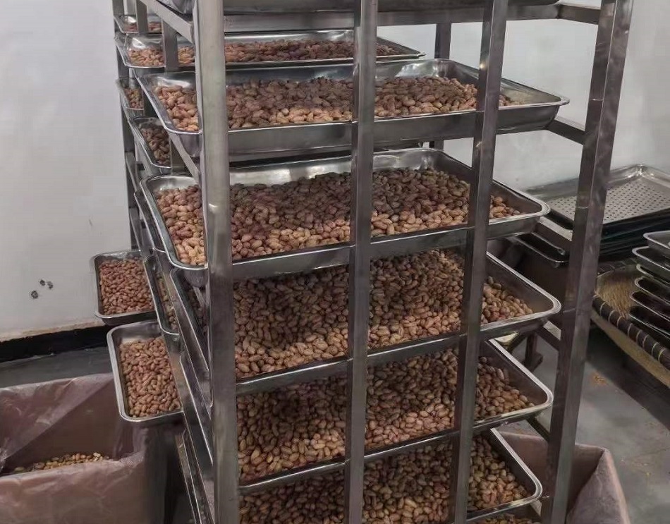 電磁花生米炒貨機(jī)